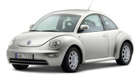 Beetle picture