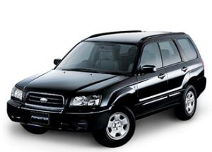 Forester X20 picture