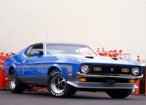 Mustang Boss 351 picture